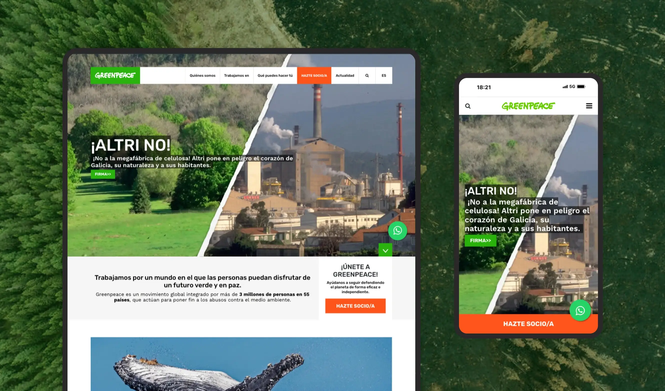 Diseño de la web de Greenpeace España