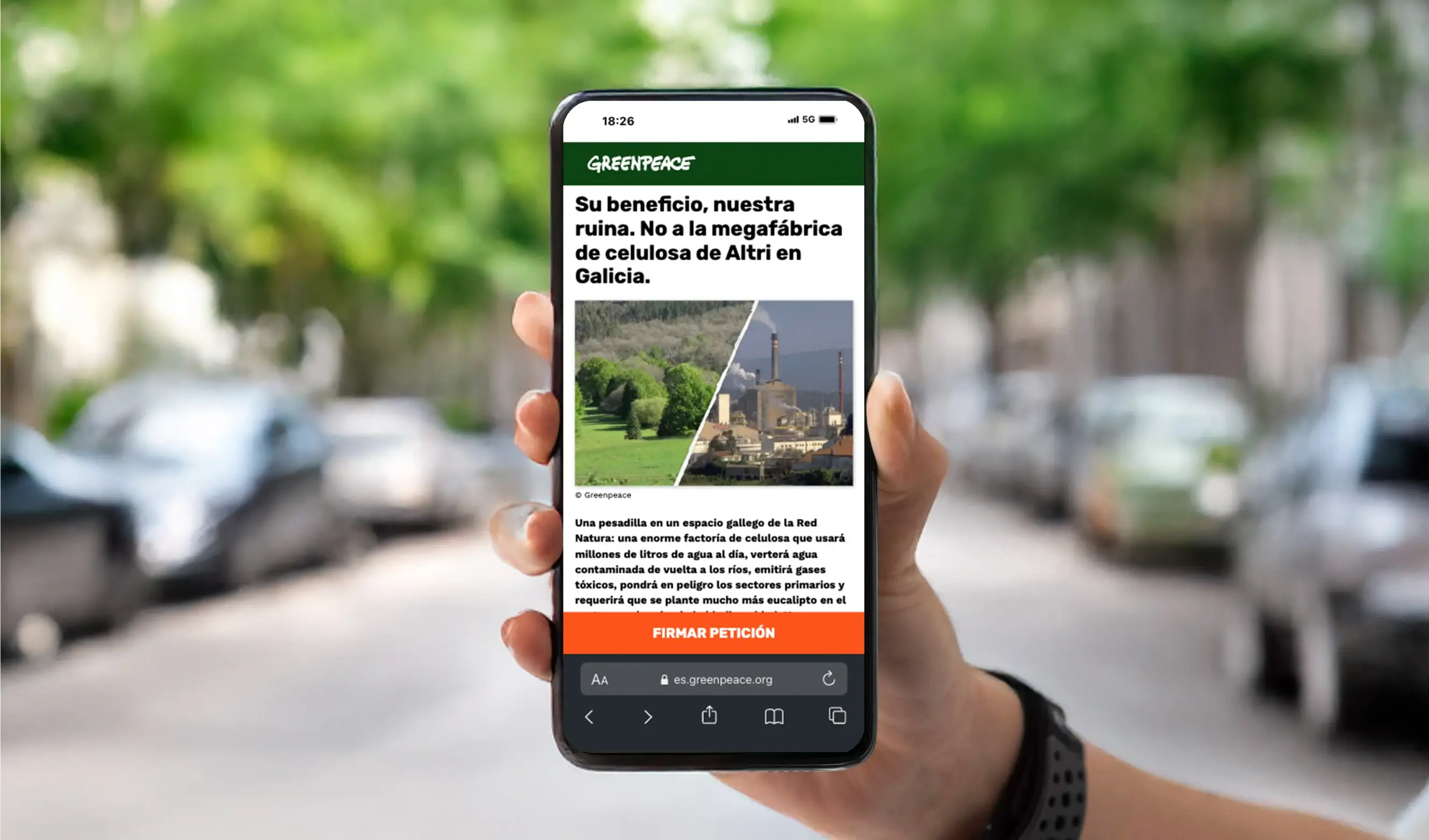 Métricas de transparencia en la web de Greenpeace